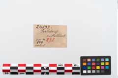 Etikett zu Bronzemehrkopfnadel (NHMW-PRAE-024537)